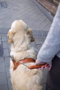 La ONCE entrega cuatro perros guía en Málaga