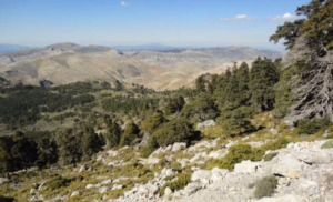 Analizan la influencia del cambio global en los paisajes de la Sierra de las Nieves