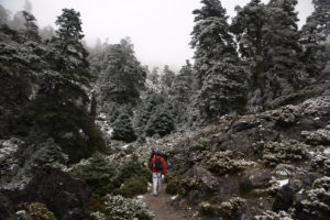 El Senado aprueba la declaración del Parque Nacional de la Sierra de las Nieves