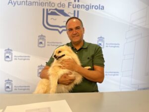 adopción mascota fuengirola